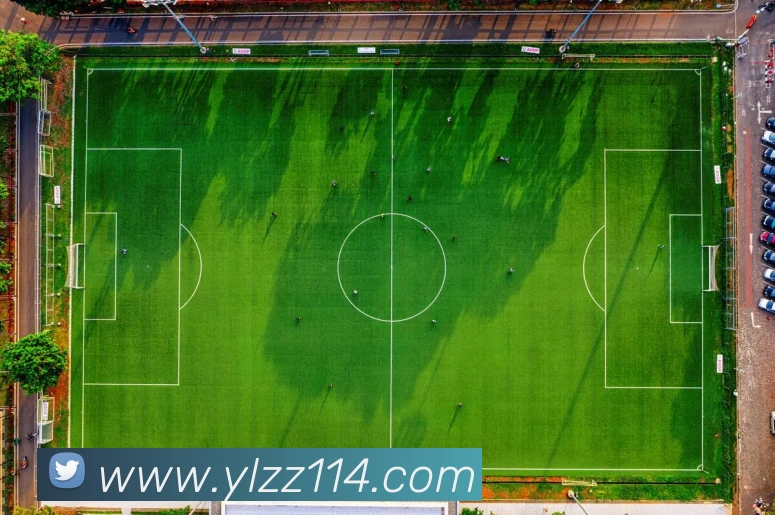 永利国际平台生态图